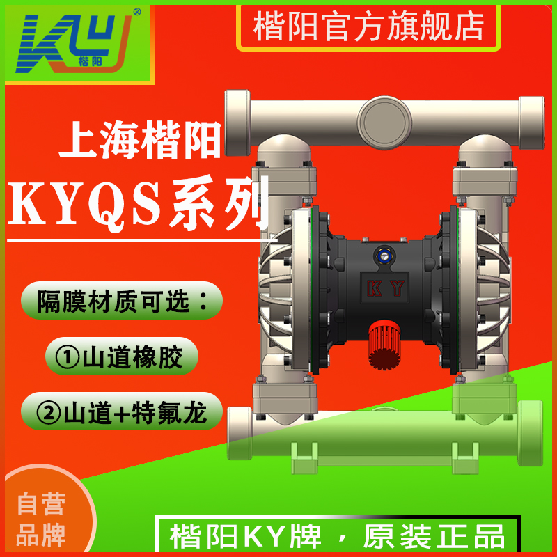 KYQS50LF全氟氣動(dòng)隔膜泵3