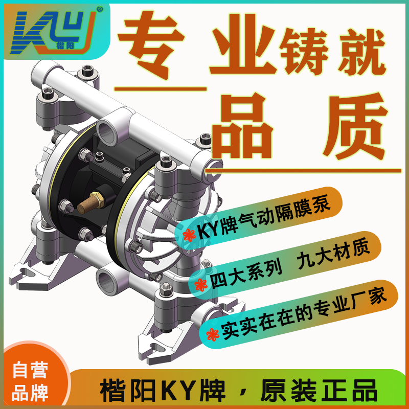 KY-20SS塑料氣動隔膜泵4