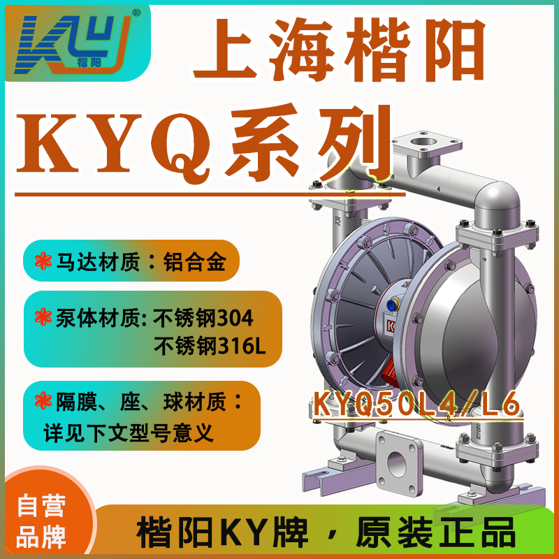 KYQ50L6不銹鋼氣動(dòng)隔膜泵2