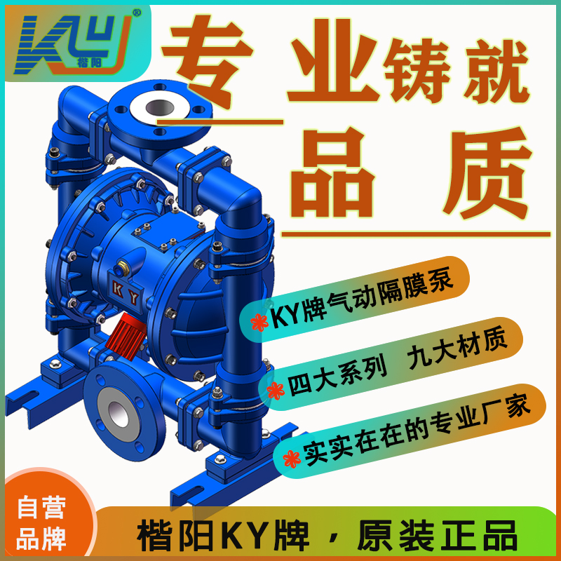 KYQ40LC鑄鋼內(nèi)襯氟氣動隔膜泵3