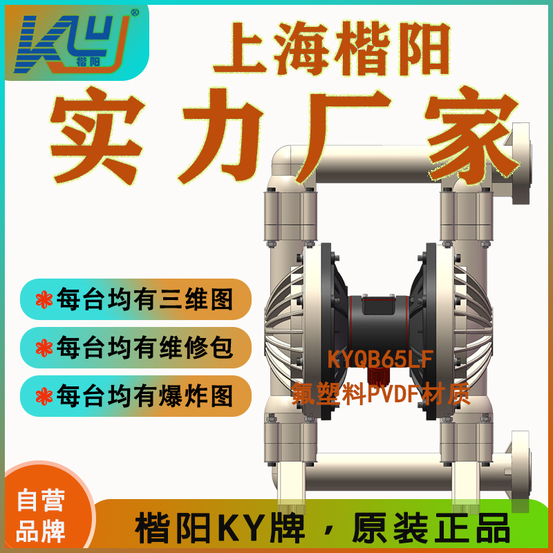 KYQ實用款-氟塑料氣動泵5